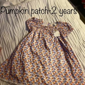 Pumpkin patch toddler 2T dress